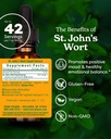 herb-pharm-st-john-s-wort-liquid-herbal--2.jpg