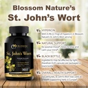 st-johns-wort-900mg-mood-support-supplem-4.jpg