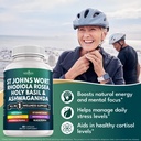new-age-st-johns-wort-rhodiola-rosea-hol-3.jpg