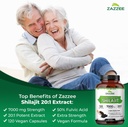 zazzee-pure-himalayan-shilajit-and-saw-p-5.jpg