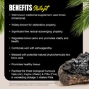 herbsforever-himalayan-shilajit-60veg-ca-4.jpg