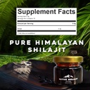 native-rems-himalayan-shilajit-resin-pur-5.jpg
