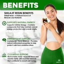 native-rems-himalayan-shilajit-resin-pur-4.jpg