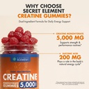 secret-element-creatine-monohydrate-gumm-2.jpg