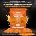 creatine-gummies-5g-ultra-micronized-cre-2.jpg