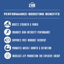 zor-micronized-creatine-monohydrate-powd-4.jpg