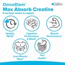 omne-diem-micronized-max-absorb-creatine-6.jpg
