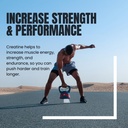 micronized-creatine-monohydrate-powder-5-5.jpg
