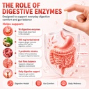 digestive-enzymes-supplement-with-probio-2.jpg