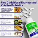 absorbaid-platinum-digestive-enzyme-supp-6.jpg