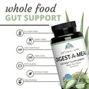 optimal-health-systems-digest-a-meal-gut-4.jpg