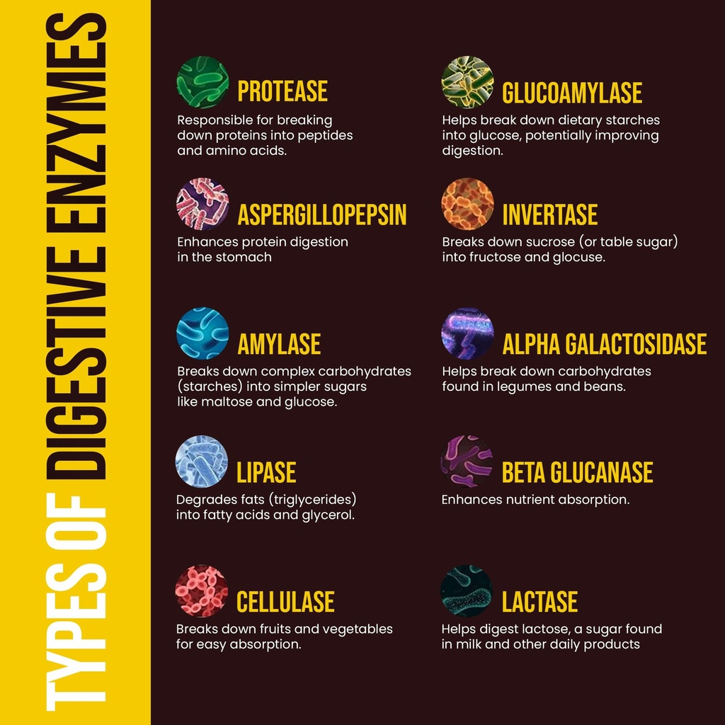 peak-health-digestive-enzymes-for-foodie-3.jpg