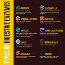 peak-health-digestive-enzymes-for-foodie-3.jpg