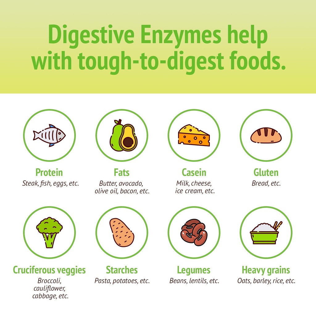 smidge-digestive-enzymes-comfy-digestion-4.jpg