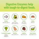 smidge-digestive-enzymes-comfy-digestion-4.jpg