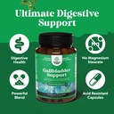 gallbladder-support-digestive-enzymes-wi-4.jpg