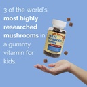 mini-mushys-organic-goodnight-rest-gummi-4.jpg