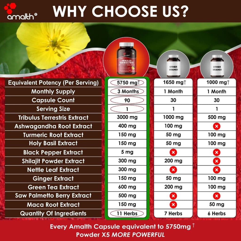 amalth-tribulus-terrsestris-20-1-extract-5.jpg