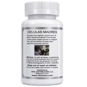 celulas-madres-stem-cell-enhancer-2.jpg