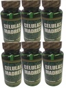 celulas-madres-stem-cell-enhancer-mother-3.jpg