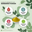 97-pure-berberine-powder-100g-plant-base-3.jpg