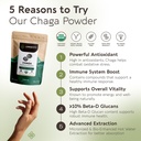longevity-botanicals-organic-chaga-mushr-3.jpg