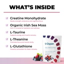 truspan-creatine-powder-with-amino-acids-2.jpg