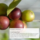 anima-mundi-apothecary-vegan-collagen-bo-6.jpg