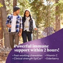 zand-immune-fast-elderberry-chews-boosts-3.jpg