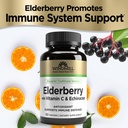 windmill-elderberry-with-vitamin-c-echin-4.jpg