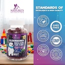 kids-immune-support-elderberry-gummies-d-4.jpg