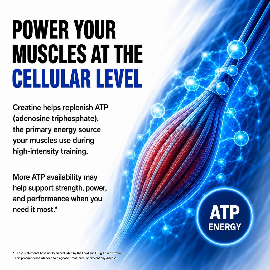 creatine-monohydrate-micronized-powder-u-5.jpg