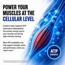 creatine-monohydrate-micronized-powder-u-5.jpg
