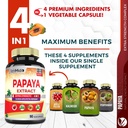temido-papaya-leaf-extract-supplements-c-2.jpg