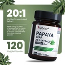 papaya-leaf-extract-1000mg-120-capsules-3.jpg