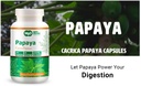 papaya-leaf-extract-capsules-180-pills-9-4.jpg