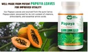 papaya-leaf-extract-capsules-180-pills-9-5.jpg