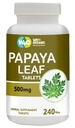 papaya-leaf-extract-capsules-tablets-500-6.jpg