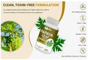 papaya-leaf-extract-capsules-tablets-500-5.jpg