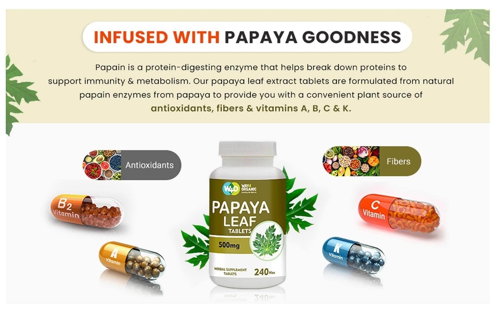 papaya-leaf-extract-capsules-tablets-500-2.jpg