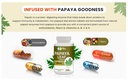papaya-leaf-extract-capsules-tablets-500-2.jpg