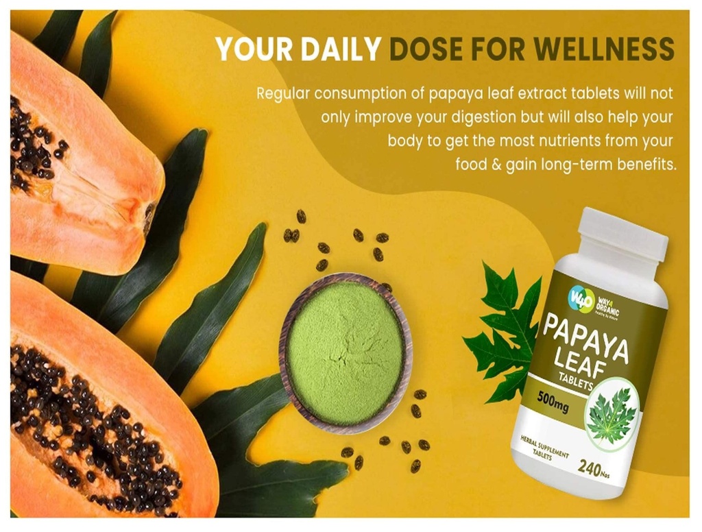 papaya-leaf-extract-capsules-tablets-500-4.jpg