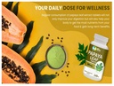 papaya-leaf-extract-capsules-tablets-500-4.jpg