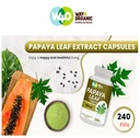 papaya-leaf-extract-capsules-tablets-500-3.jpg