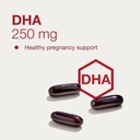 protocol-for-life-balance-pre-natal-mult-4.jpg