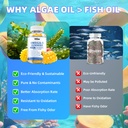 vegan-omega-3-gummies-500mg-omega-3-fish-5.jpg