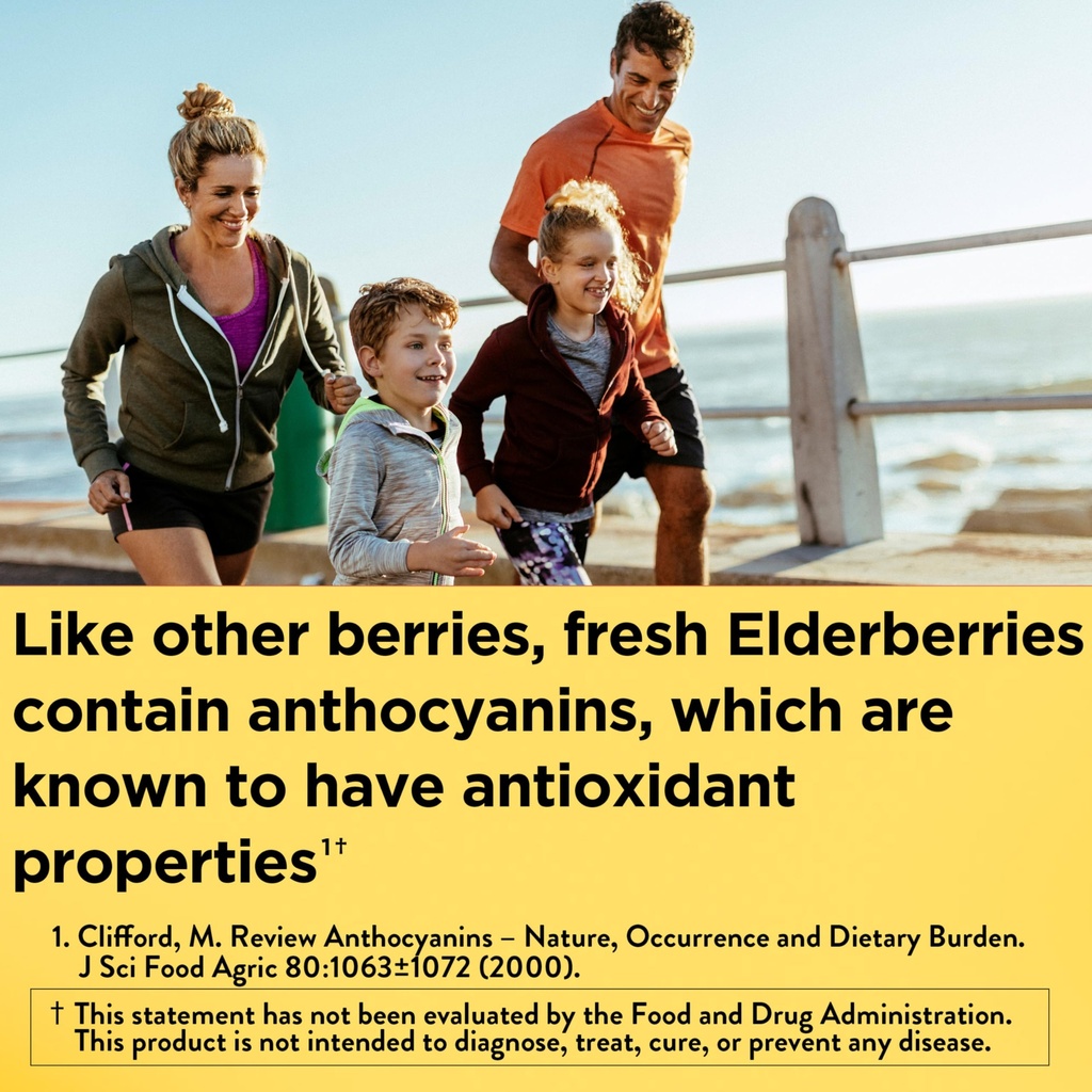 nature-made-elderberry-gummies-with-vita-2.jpg