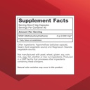 protocol-for-life-balance-msm-bioavailab-2.jpg