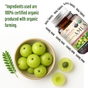 100-organic-amla-tablets-ayurvedic-for-d-6.jpg