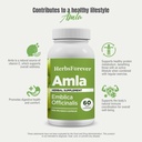 herbsforever-amla-indian-gooseberry-powd-5.jpg
